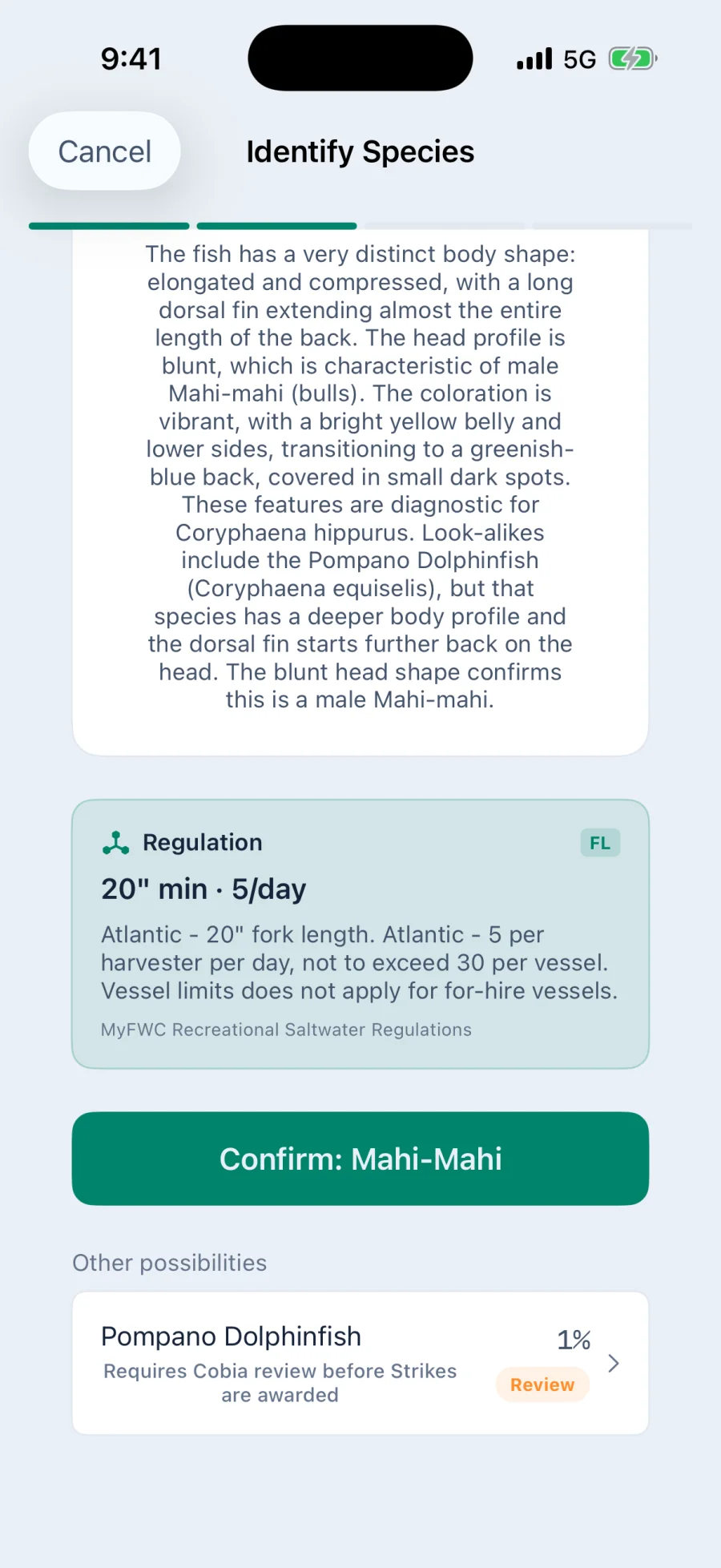 The reasoning behind the identification, describing the elongated compressed body, the long dorsal fin and the blunt head of a bull, ruling out the Pompano Dolphinfish because its dorsal fin starts further back, above the Florida regulation of a twenty inch minimum and five per day