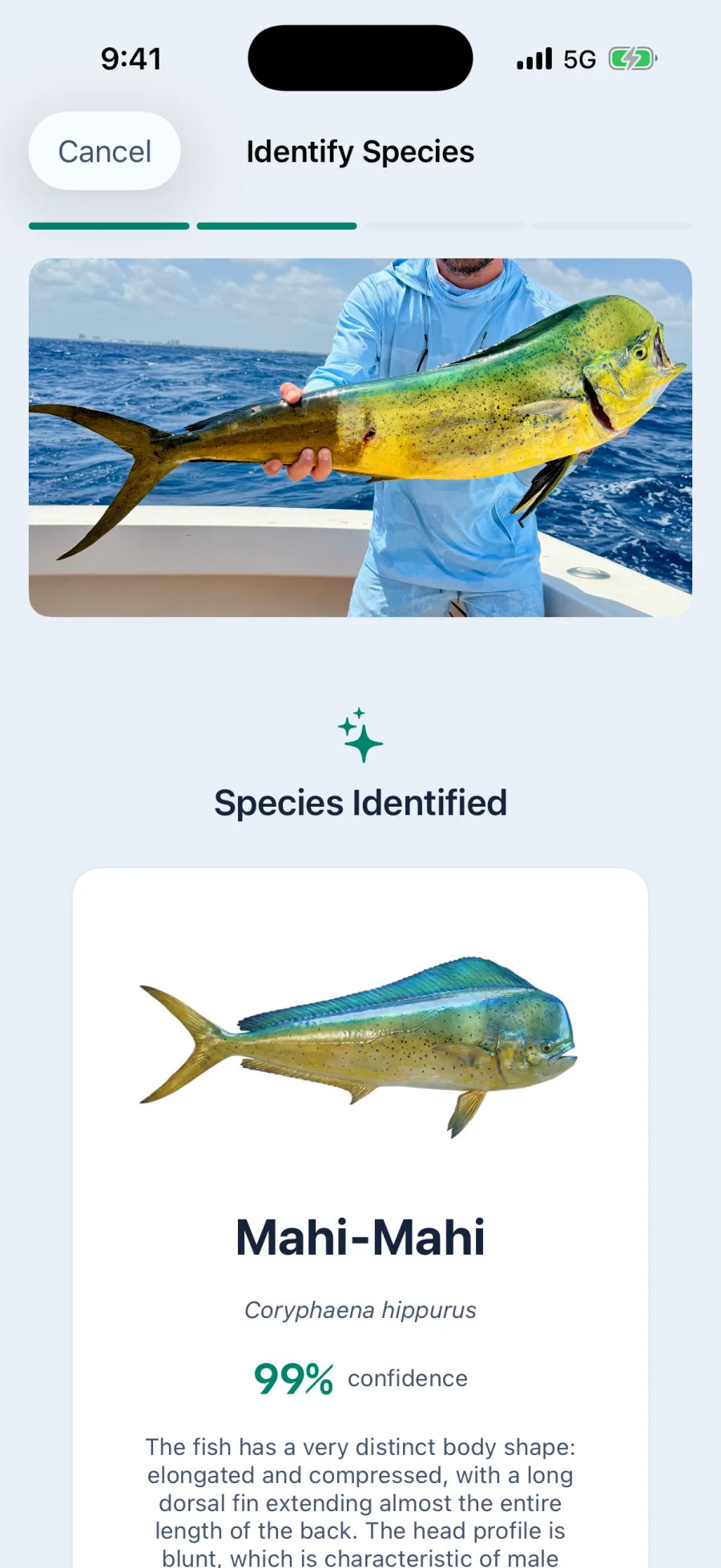 The same fish in Cobia, identified as Mahi-Mahi, Coryphaena hippurus, at 99 percent confidence, beside the Fishdex artwork for the species