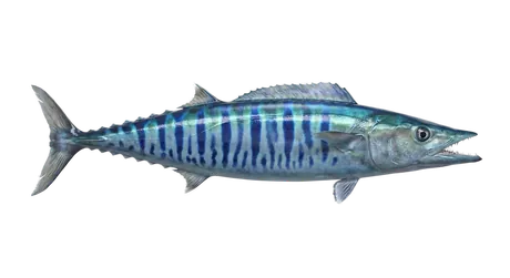 Wahoo